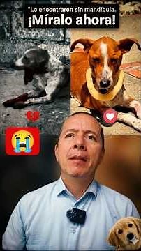 ​Le destrozaron la mandíbula y ocurrió un MILAGRO 😭💔 (Final Inesperado)