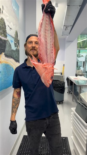 Reed Brand on Instagram: "Did you know it’s easier to go over the ribs on deeper water Snapper? Cut with @dexter_outdoors"