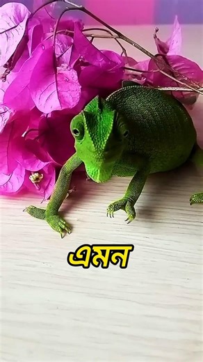 🐍 এই ৫টা প্রাণী মুহূর্তে অদৃশ্য হয়ে যেতে পারে 😲 #shorts #facts