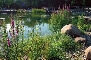 6 étapes pour construire un bassin de jardin réussi ou un étang > Aquiflor - Jardinerie Aquatique