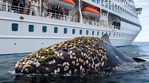 #foryoupage #rescueanimals #saveanimals #snack #sealife #animation #helpanimals #seaworld #seaanimals #AI #rescue | Deependra Kumar Soni