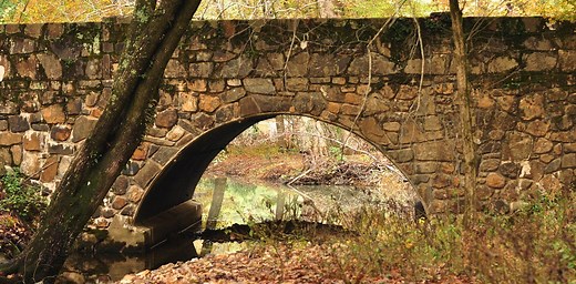 FDR’s forest army: How the New Deal helped seed the modern environmental movement 85 years ago