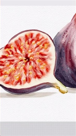 Watercolor Fig - Drawing Process ✏️ Realistic Watercolor in Procreate ✨ #watercolor #procreate