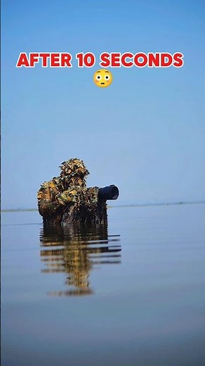 You Won’t Believe This Wildlife Moment 😱 #photography #wildlife #nature