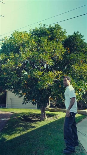 Vic Mensa on Instagram: "can you relate to being put in a box? making a short film in LA this weekend looking for help actors, extras, sponsors, investors it's a serious production with a high level crew still filling a few roles #explore #fyp #film"