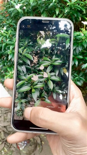 Iphone 12 photography #iphonephotography #iphone12 #cameratest