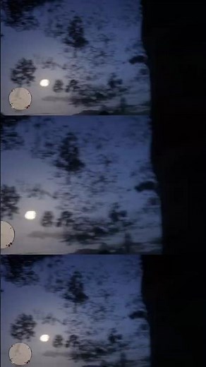 Crazy RDR2 Void Glitch!