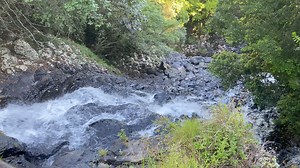 Signature Staff on Reels | Facebook