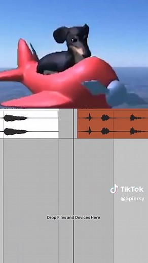 Everytime We BA - Dog of Wisdom Compilation