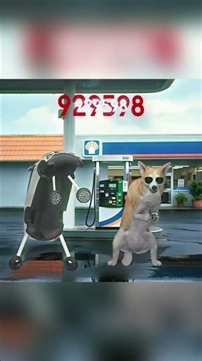 Heard that even a dog could drive an automatic car? #dance #dancecover #challenge #gascard