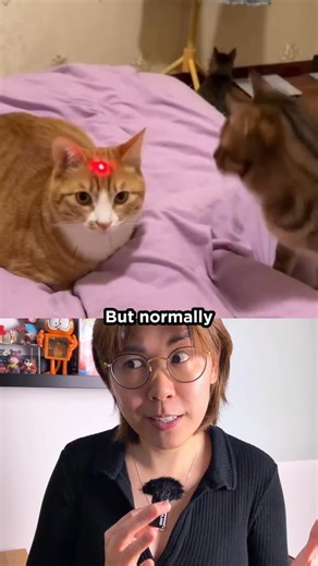 I Finally Learned How Laser Shows Actually Work #science #laser #physics | vt.physics