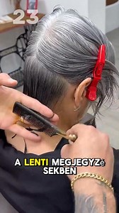 138K views · 340 reactions | Ősz hajvágásra és színkorrekcióra ment a szalonba, és egy lenyűgöző átalakulással távozott, amely mindenkit elkápráztatott — nézd meg a végső eredményt a lenti megjegyzésekben. | Élettörténetek | Facebook