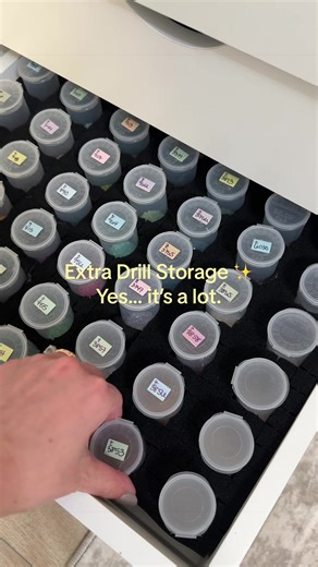 Organized Extra Drill Storage Project ✨