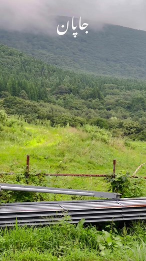 Exploring the Cultural Beauty of Japan with Mohammad Ali Mohmand