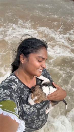 OMG ❌ Dog in beach