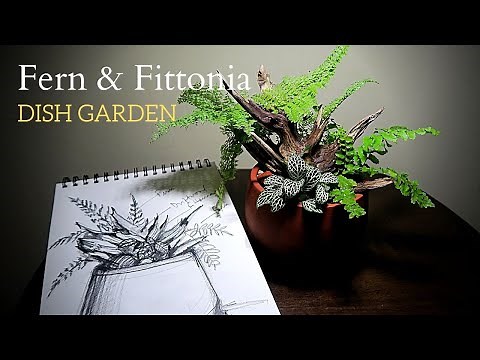 Simple and easy Dish Garden || From a sketch to a scaped dish || Dish Garden Design