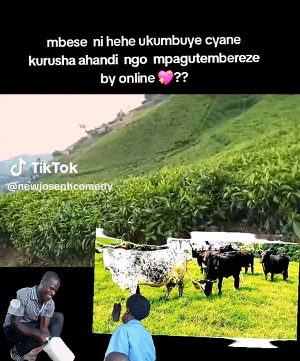 NEW JOSEPH COMEDY🤗 (@newjosephcomedy)’s videos with original sound - Darius