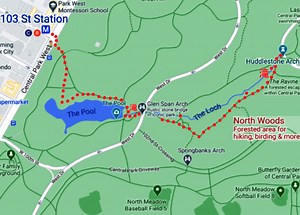 ５K画質、NYから紅葉のセントラルパークお散歩動画 | ニューヨークの遊び方