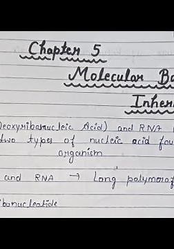 Molecular basis of Inheritance class 12 Chapter 5 notes👍