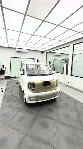 Complete Vehicle Protection Services for BESTUNE Models