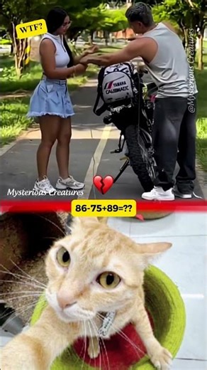 Mysterious Creatures #cat #a1sigma #funny #sigmabrothers #duet #memes #respect100 #animals #respect