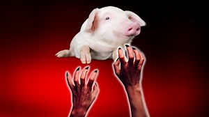 Por que Jesus deixou os demônios irem para 2 mil porcos no caso dos gerasenos?