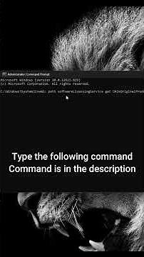How to find your windows product key