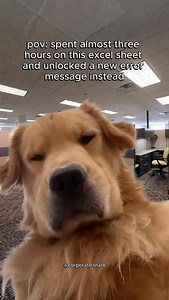 Three hours with Excel and all I earned was this stare and a pop up that speaks in riddles. #CorporateSnark #WorkMemes #OfficeLife #ExcelProblems #Relatable | Corporate Snark