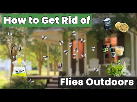 Struggling with Flies? This Simple Hack Will Show You How to Get Rid of Flies Outdoors!