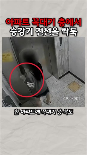 아파트 꼭대기 층에서 승강기 전선을 싹둑