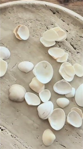 Idée déco facile à faire avec des coquillages 🐚 #diy #diydeco #coquillages