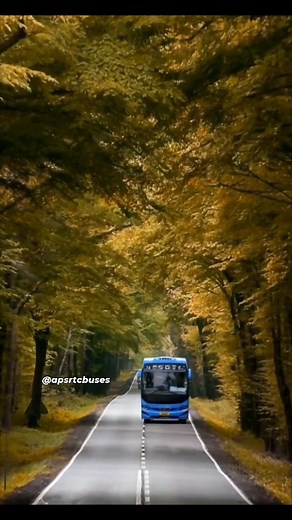 STAR LINER, INDRA AC. | APSRTC Buses