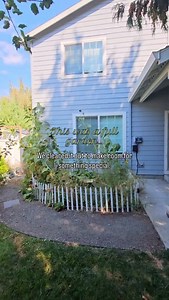 From garden to catio 🌿 We transformed this garden into a 8x8x8 cedar catio in Portland, Oregon. Features a flagstone river rock path (cats love rolling on big pavers! 😉), three custom hiding boxes, ramps, perches, and a floor-to-ceiling scratcher. 🐾 🌱 What kind of plants would you add if you had a setup like this? | The Catio Company