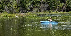 Availability of short-term health insurance in New Hampshire