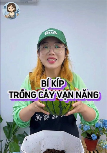 Cách trồng cây vạn năng: bí kíp trồng dưa hấu & dâu tây