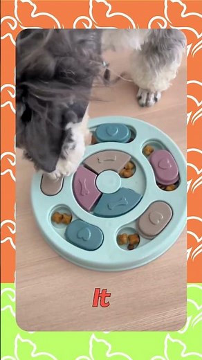 Bored Dog? This Interactive Puzzle Toy Is a Game Changer! 🐕🦴