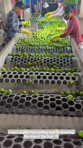 a very useful fruit sorting tool for knowing the size of the fruit..!!!