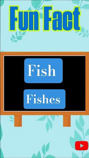 Fish Vs Fishes- What’s the Difference? 🤔Fun English Grammar Fact Explained!