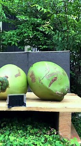 64K views · 689 reactions | Dust Collector Mechanic #tools #powertools #drill | DIY MAN | Facebook