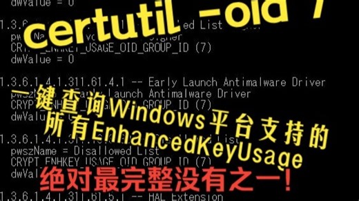 【干货】如何快速获得Windows平台支持的全部的EnhancedKeyUsage？一行命令轻松拿到绝对最完整没有之一的EKU列表！