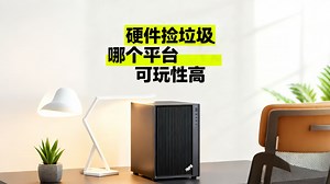 电脑硬件捡垃圾哪个平台可玩性高?