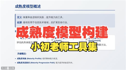 成熟度模型及构建