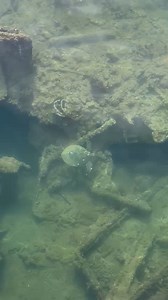 6.7K views · 221 reactions | In honor of Plan for Vacation Day...