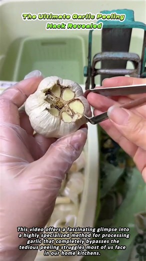 The Ultimate Garlic Peeling Hack Revealed
