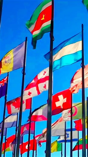 🌍✨ What an unforgettable International Education Week! ✨🌍 Thank you to our incredible community for making this year’s celebrations truly shine. From the vibrant World Fair, to our rejuvenating World Wellness Event, to the inspiring stories shared during the Office of Education Abroad Student Panel—every moment showcased the power of global learning and connection. We’re also thrilled to announce the launch of TWO new ambassador pages on our website: ⭐ International Spotlight – celebrating the