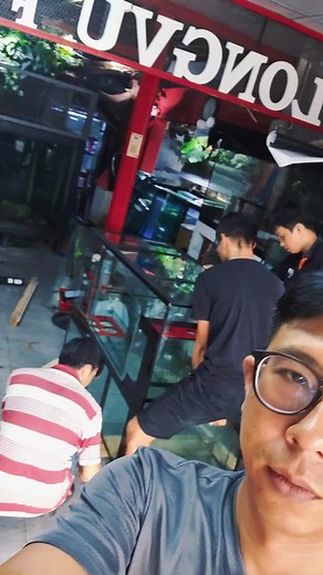 sp. Project One full Kính 1m55 Quá trình ráp khối #hồcacanh #hocacanh #hồcacongnghe #hồca #cacanhvietnam #longvuaquarium #minitank #hocarong #hocacongnghemoi