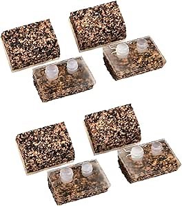 Hayward Sets Ultra Cork Pod Shoes Swimming Pool Navigator Vac Kits (2 Pack)