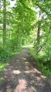 The world’s most secure email signature solution for Microsoft 365 & Office 365. Sign up and test for free: https://www.codetwo.com/email-signatures/ | CodeTwo