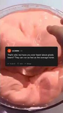 Reading The Most Unhinged Reddit Comments 📖