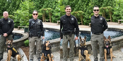 Four Brunswick County K9s get fitted with bullet-resistant vests